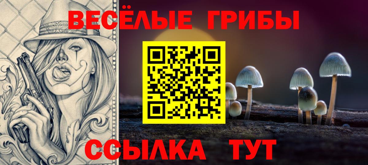 Псилоцибиновые грибы Cubensis  Вход с VPN  Медногорск 