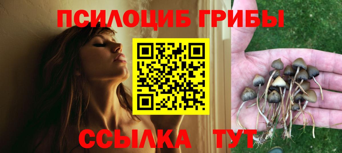 Галлюциногенные грибы Cubensis Медногорск